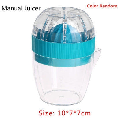 Mini Electric Fruit Mixer