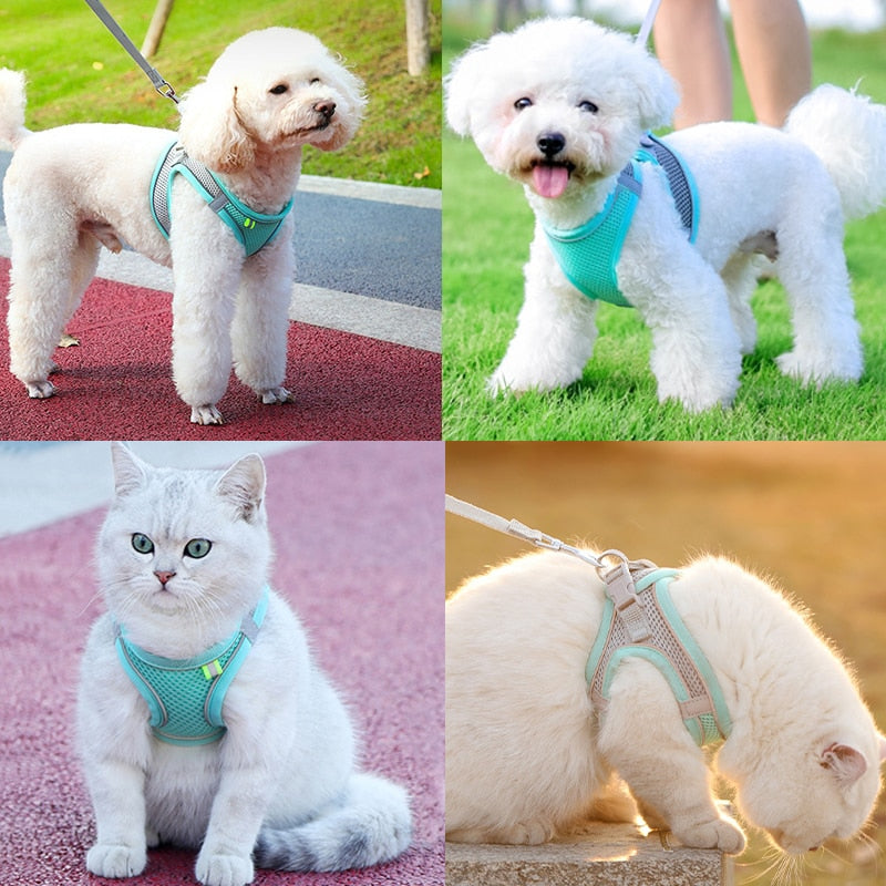 Escape Proof Small Pet Harness Leash Set