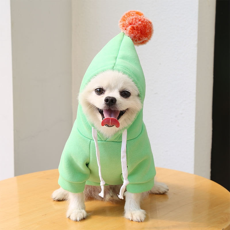 Puppy Tailored Fruit Wear